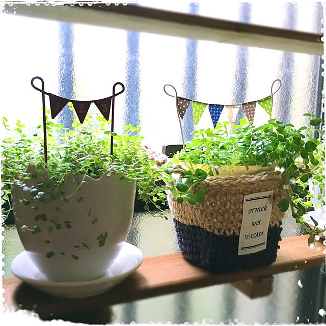 mapleさんの実例写真