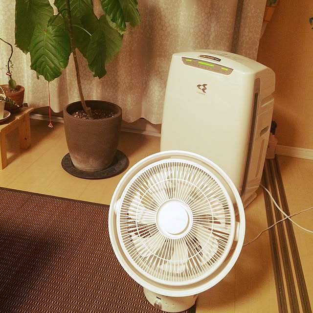 yokoさんの実例写真