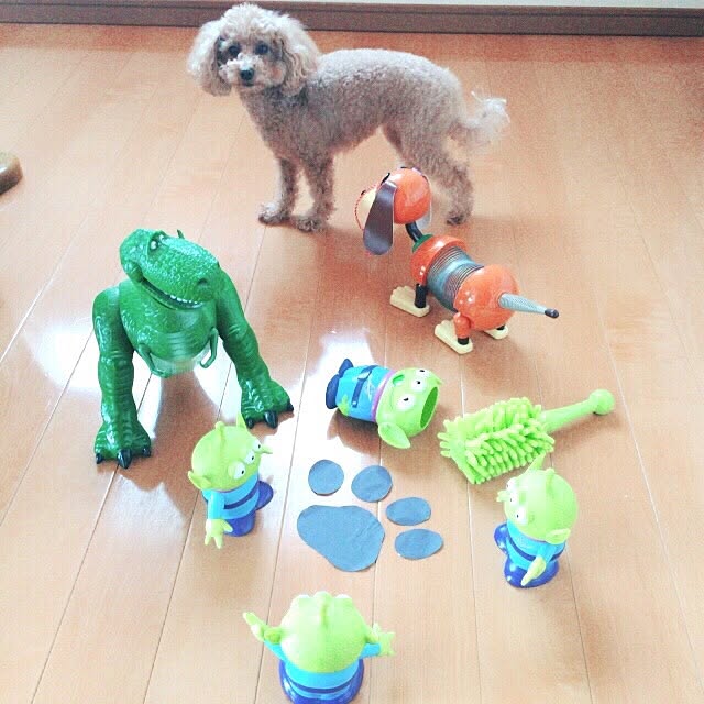 Momoさんの実例写真