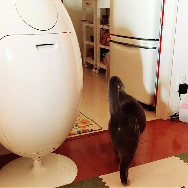 ikettenさんの実例写真
