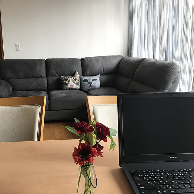 実例写真