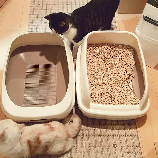 6catsさんの実例写真