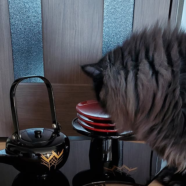 muku+maroさんの実例写真