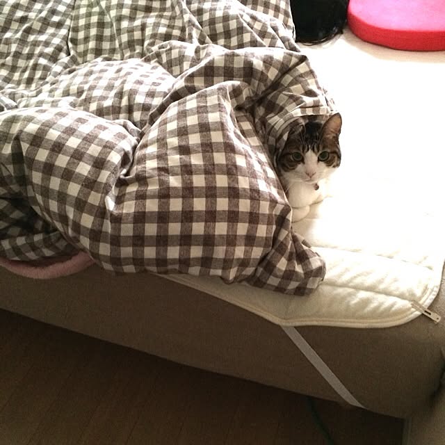 Michikoさんの実例写真