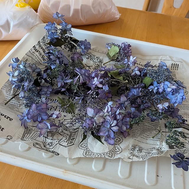 chi_gogaさんの部屋