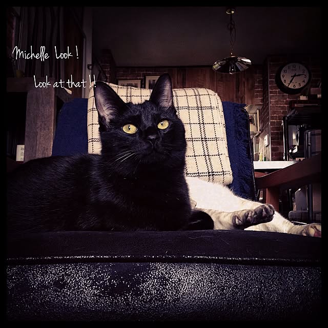 Naoki.さんの実例写真