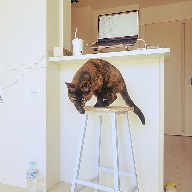 JIHYEさんの実例写真
