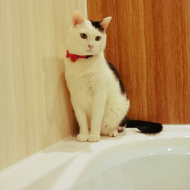 aimi614さんの実例写真