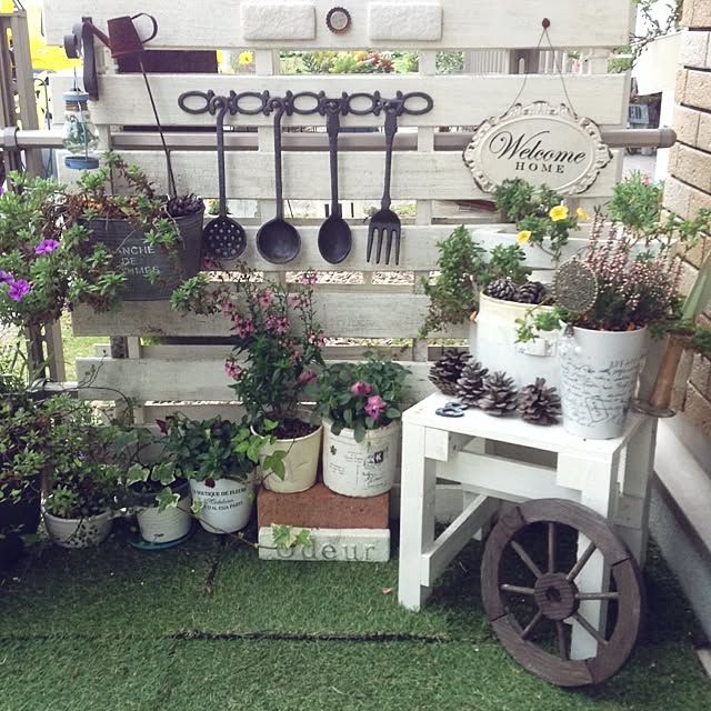 kohakuruさんの部屋