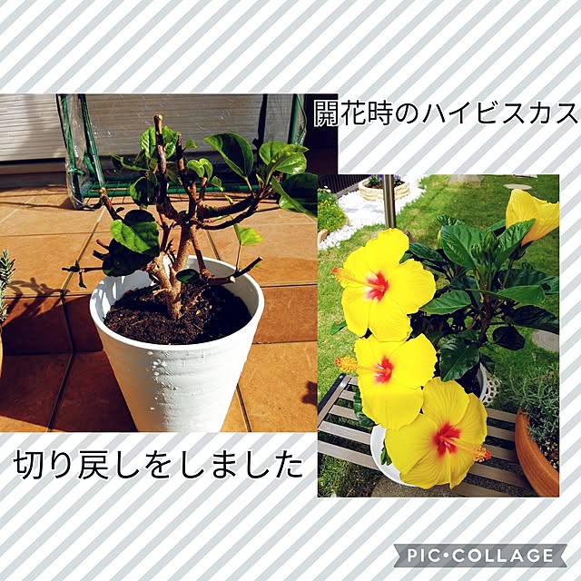 tomoさんの部屋