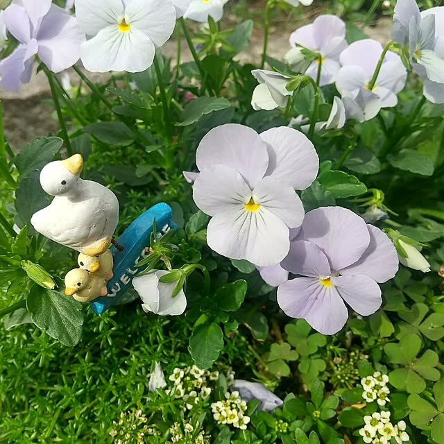 Rさんの部屋