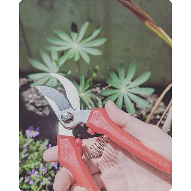 mokoさんの実例写真