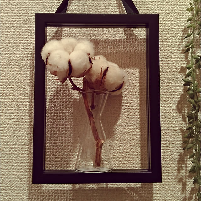 naosunさんの実例写真