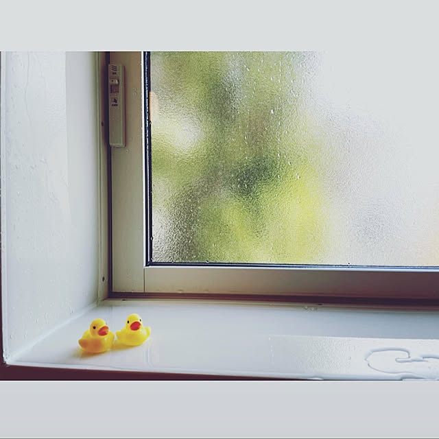009さんの実例写真