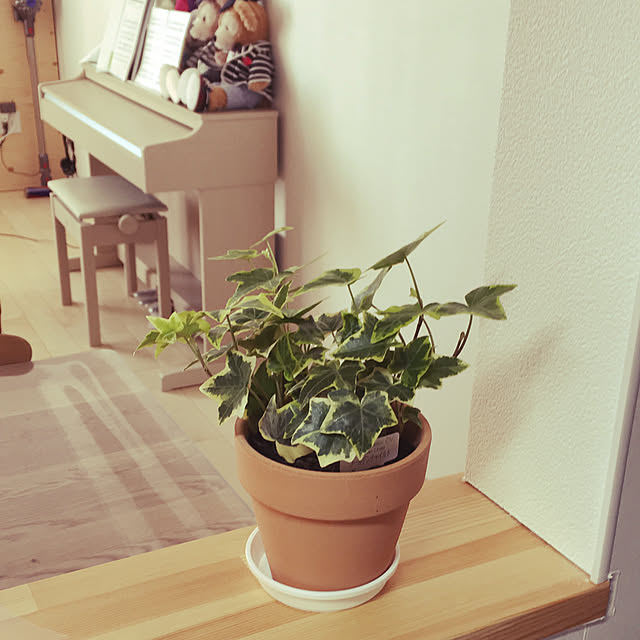 onanaさんの実例写真