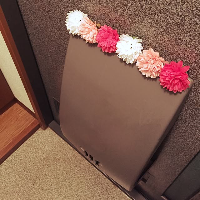 hirosoraさんの実例写真