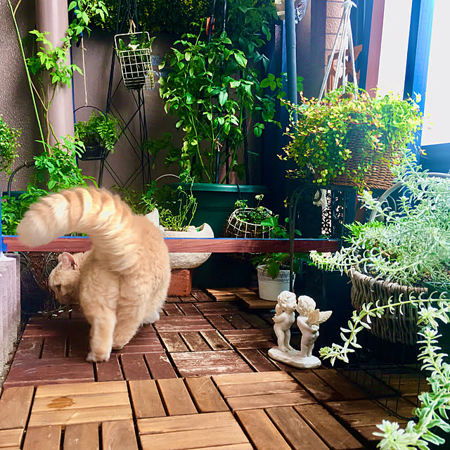 naokoさんの実例写真