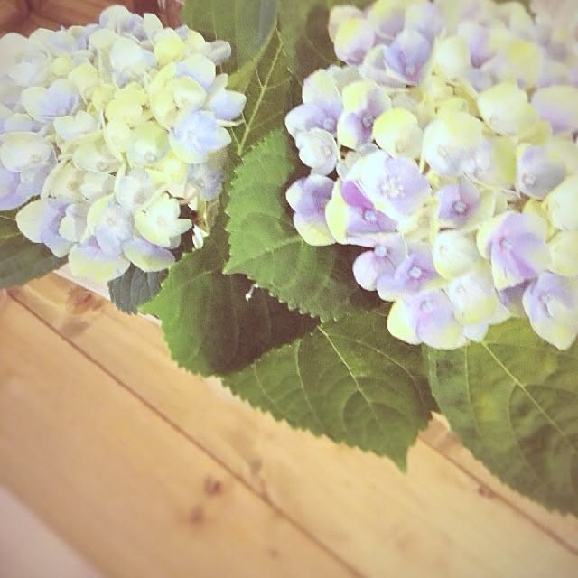 rookuさんの実例写真