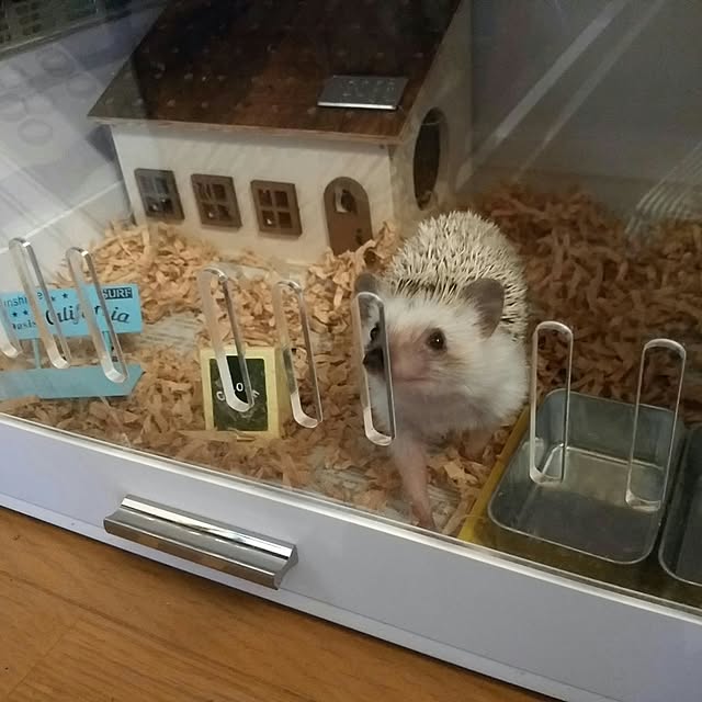 tomominさんの実例写真