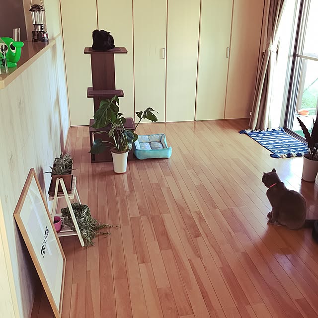 ayumiさんの実例写真