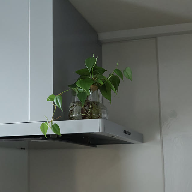 Summerさんの部屋