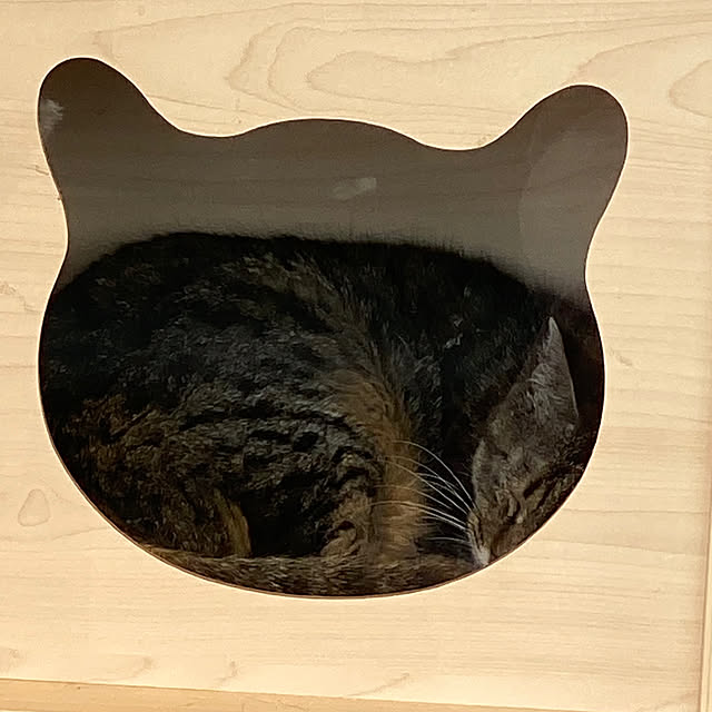 ohanaさんの部屋