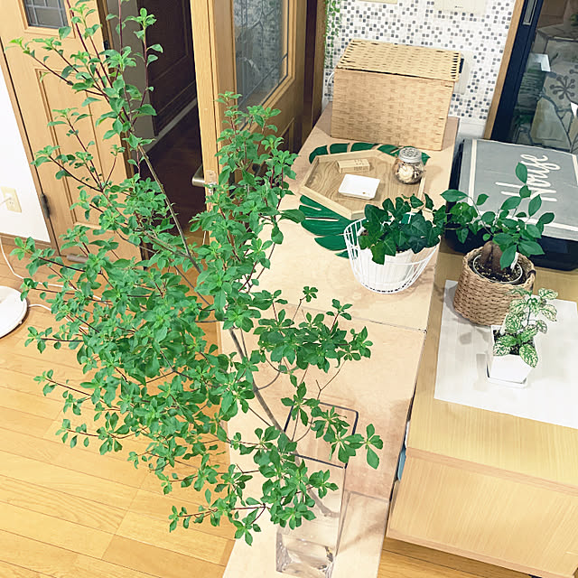 yumi.fさんの実例写真