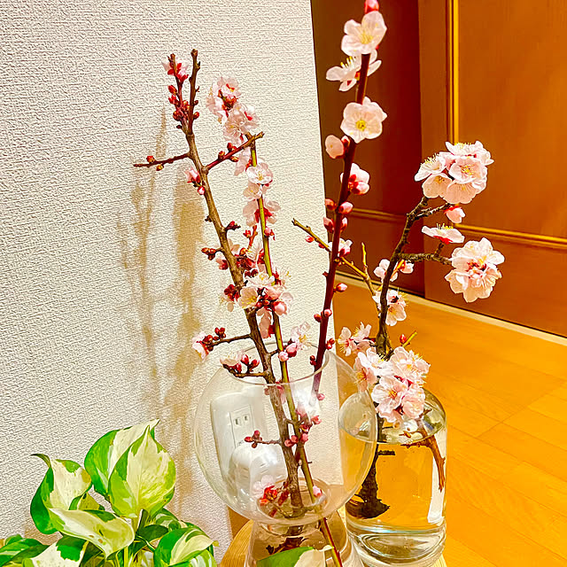 saahannさんの実例写真