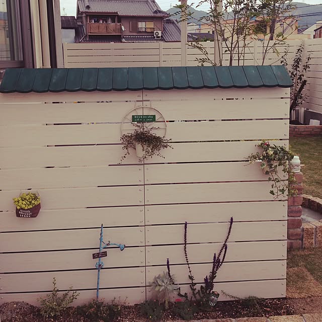 PEKO3_3さんの実例写真