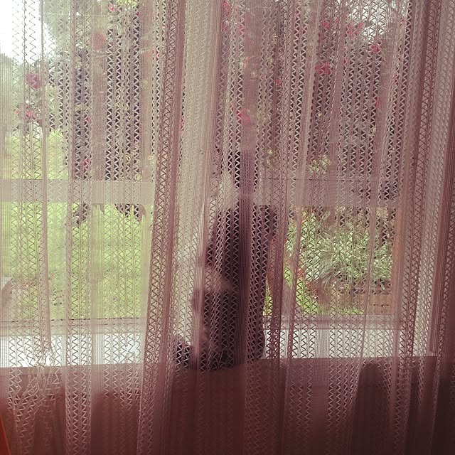 maaaasumiさんの実例写真