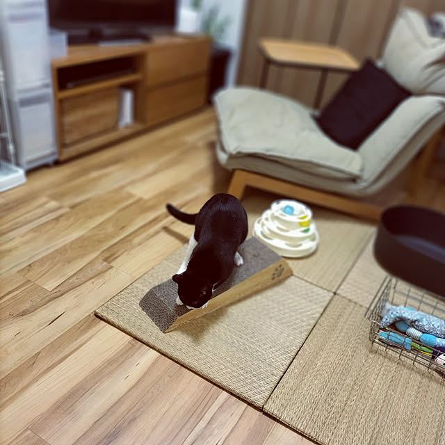 hihaさんの実例写真