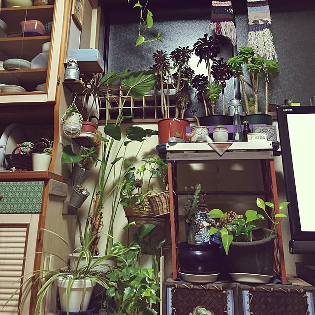 Norikoさんの実例写真