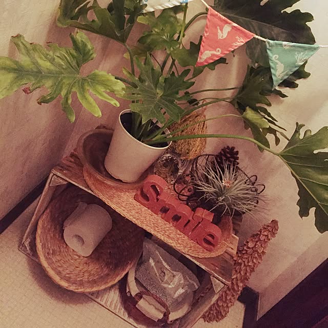 バス/トイレ/観葉植物/ドライフラワー/ダイソーのインテリア実例 - 2016-11-19 17:35:37