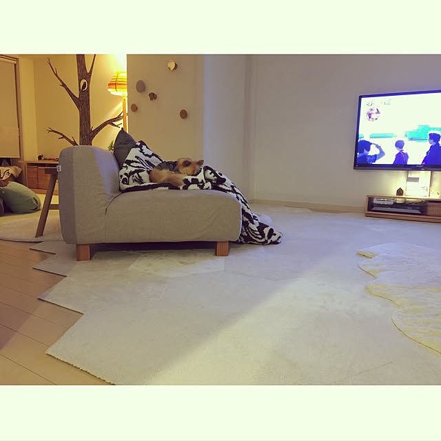 haruhinaさんの実例写真
