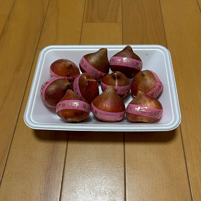 fumikoiさんの部屋