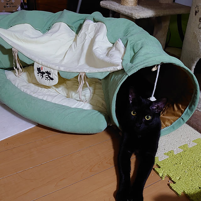 shinobuさんの実例写真