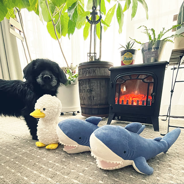 marinkoさんの実例写真