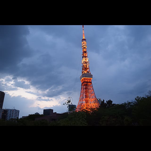 実例写真