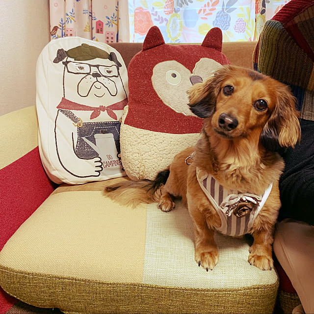 maronさんの実例写真