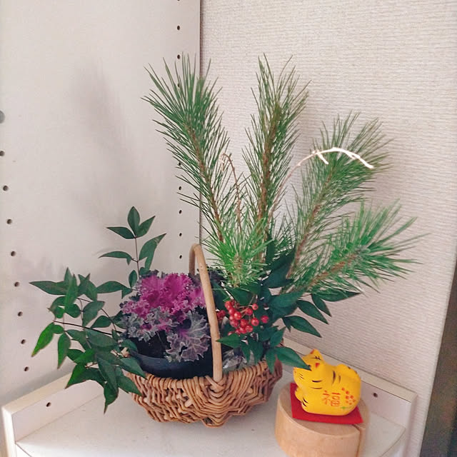 ukiukiさんの実例写真