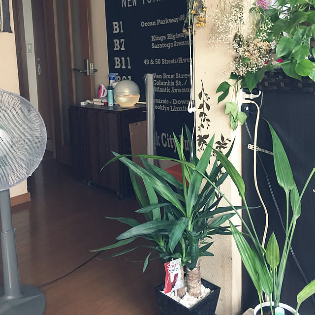 Harumiさんの実例写真