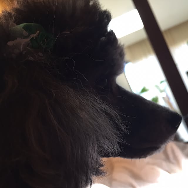 mituzuさんの実例写真