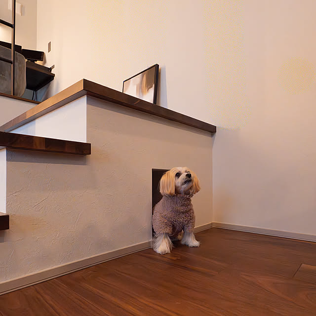 Lm_casaさんの部屋