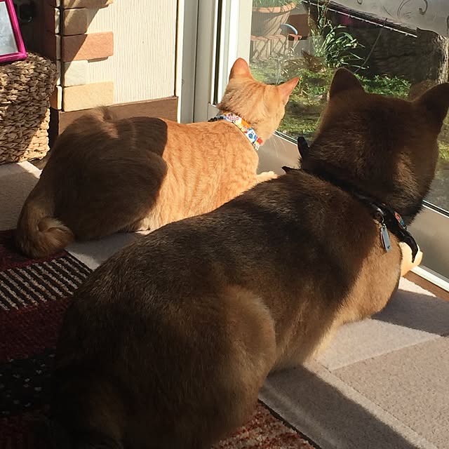 mtkさんの実例写真