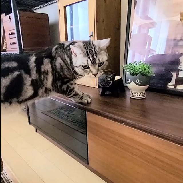 lovepeaceさんの実例写真