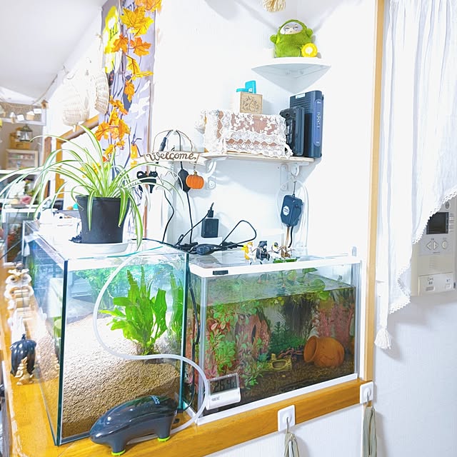 mariaさんの部屋
