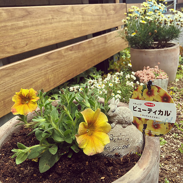 happy129さんの実例写真
