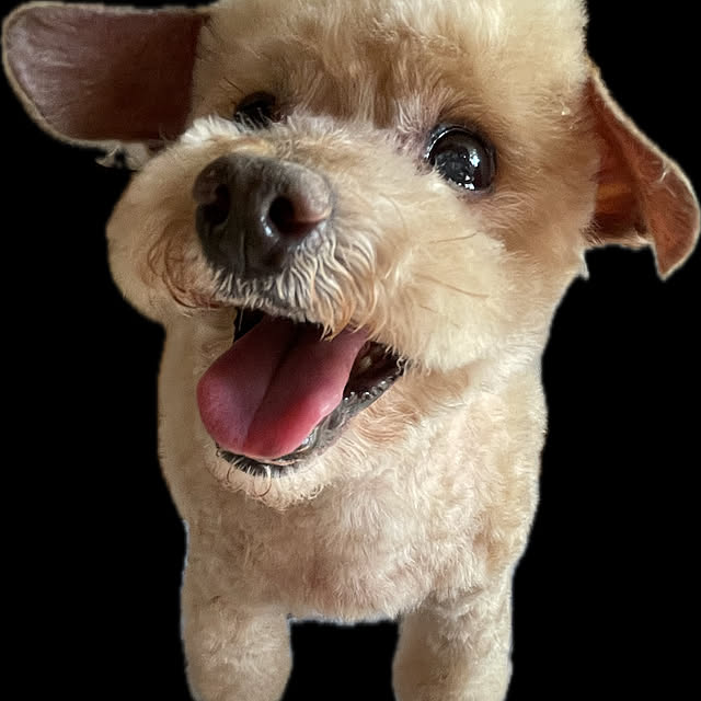 nekosamaさんの部屋