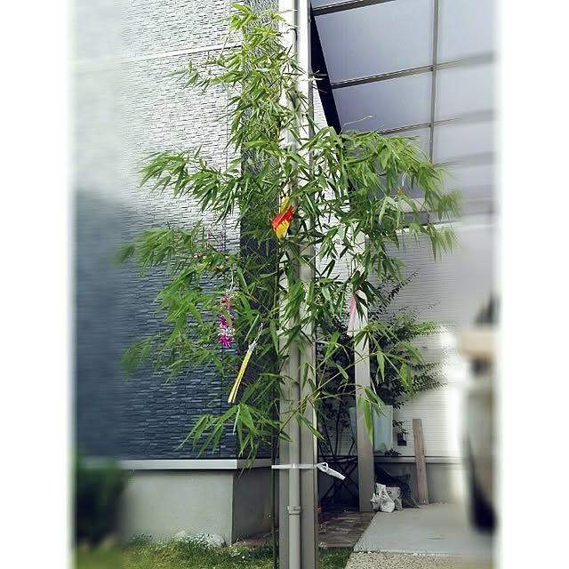 7tuさんの実例写真