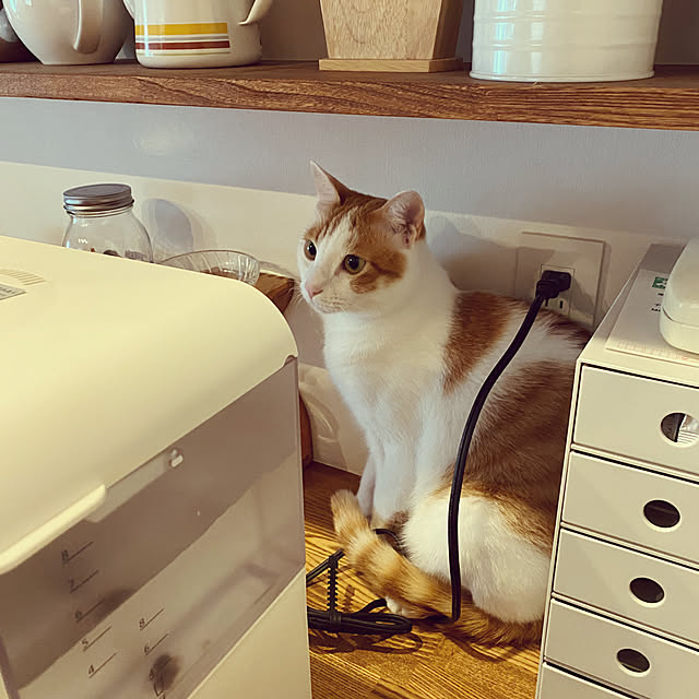 panchanさんの部屋